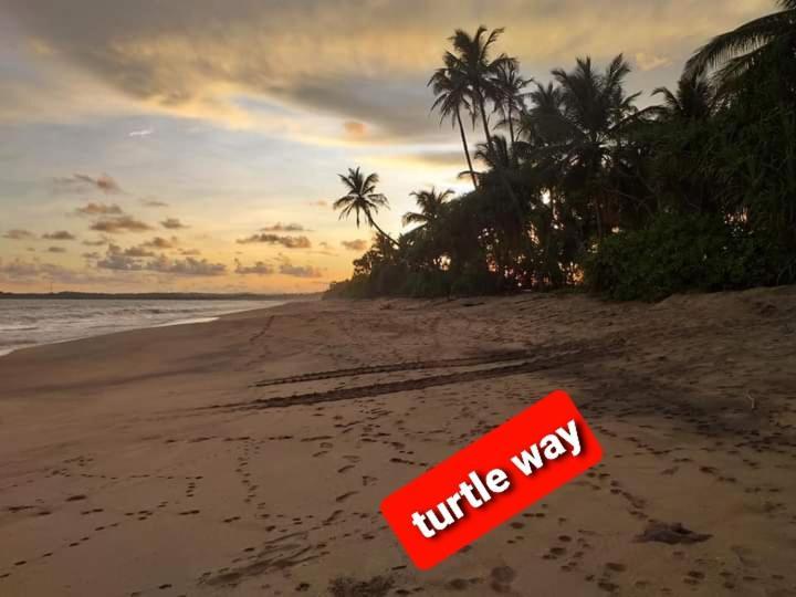 Star Sun Homestay Tangalle Eksteriør bilde