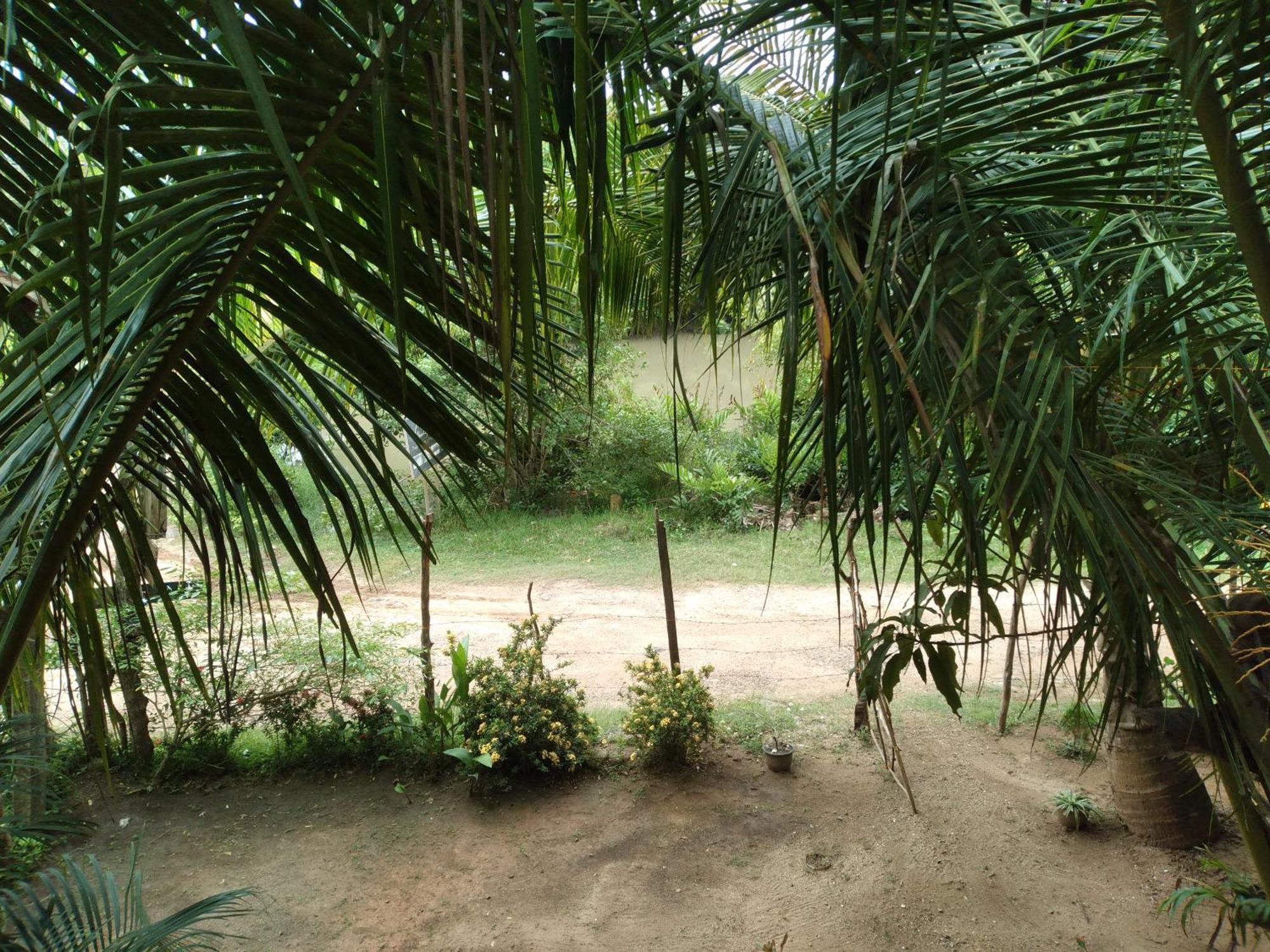 Star Sun Homestay Tangalle Eksteriør bilde